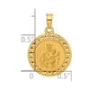 14k Polished and Satin Hollow Our Lady of Mt. Carmel Medal Round Pendant