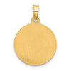14K and White Rhodium Polished and Satin Hollow Our Lady of Mt. Carmel Medal Round Pendant