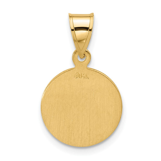 14k Polished and Satin Solid Miraculous Medal Plain Back Pendant