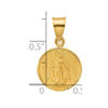 14k Polished and Satin Solid Miraculous Medal Plain Back Pendant