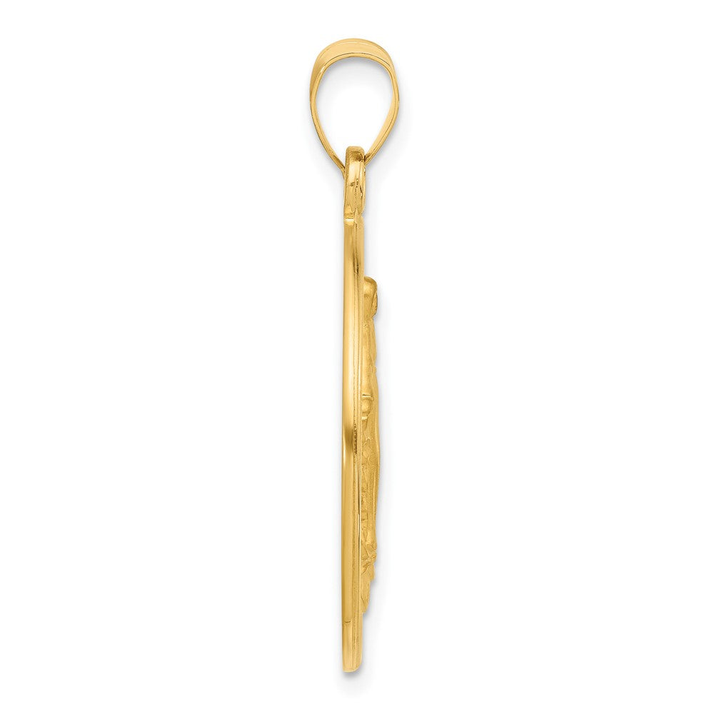 14k Polished and Satin Solid Miraculous Medal Plain Back Round Pendant