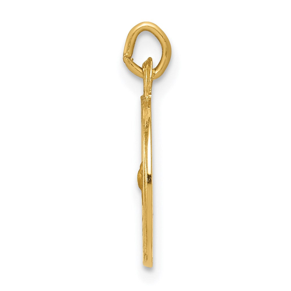 14k Polished and Satin Solid Holy Spirit Medal Charm