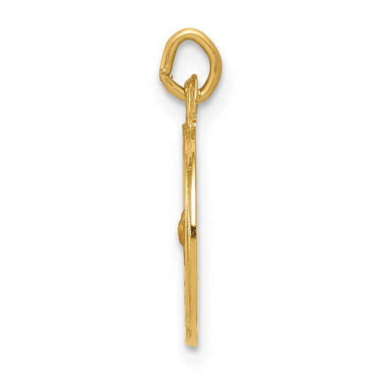 14k Polished and Satin Solid Holy Spirit Medal Charm
