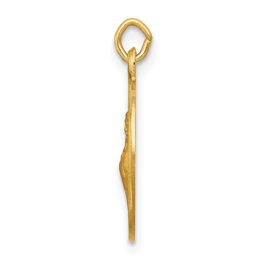 14k Polished and Satin Solid Saint Francis of Assisi Medal Round Charm