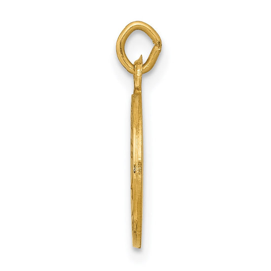 14k Polished and Satin Solid Saint Elizabeth Seton Medal Round Charm