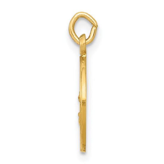 14k Polished and Satin Solid Our Lady Of The Assumption Medal Round Charm
