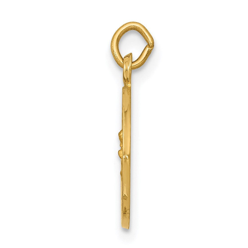 Gold Our Lady of Perpetual Help Pendants