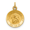 Gold Our Lady of Perpetual Help Pendants