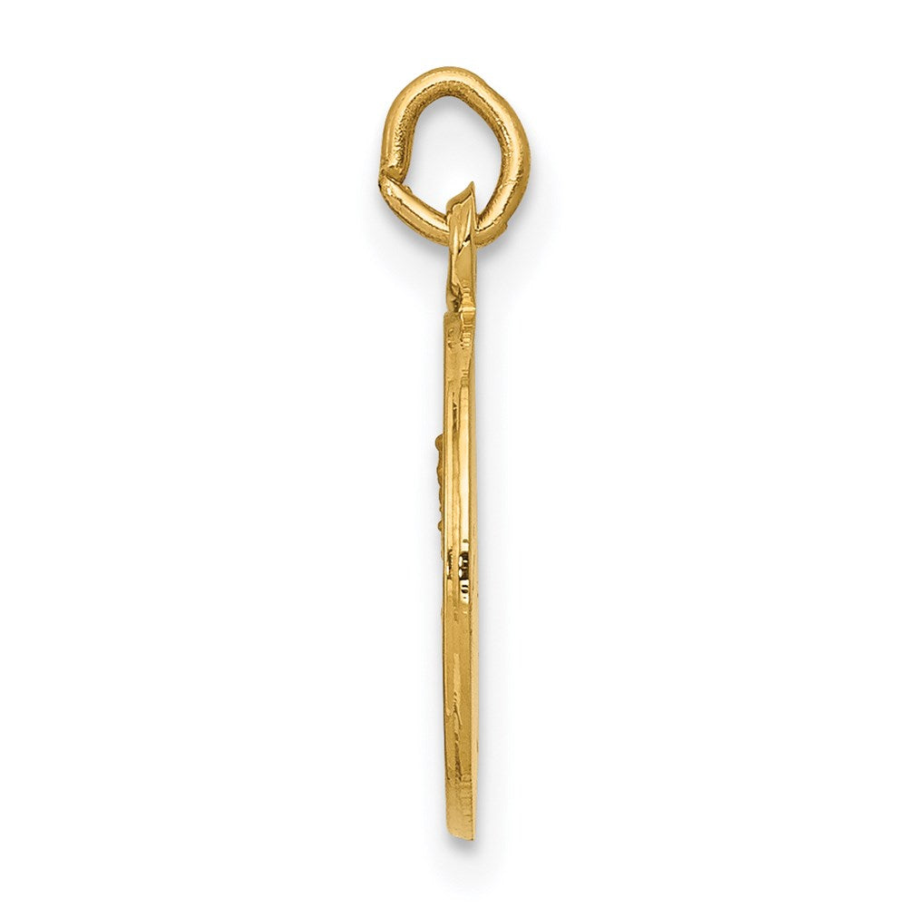Gold Our Lady of Mt. Carmel Pendants