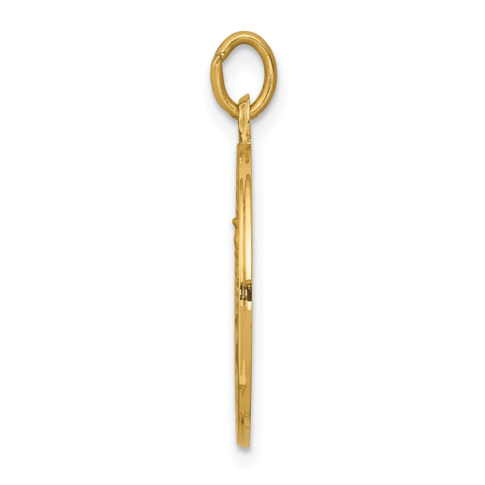 Gold Our Lady of Mt. Carmel Pendants