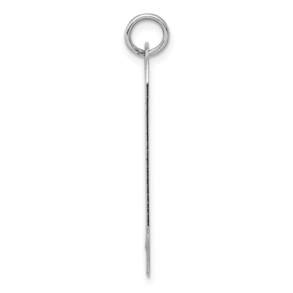 14k White Gold Plain 30x16mm .027 Gauge Engravable Dog Tag w/Notch Disc