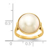 Gold Polished Freshwater Pearl Rings