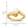 Gold Polished Freshwater Pearl Rings