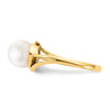 Gold Polished Freshwater Pearl Rings