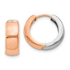 Gold Two-tone Circle Hinged Hoop Earrings