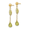 Gemstone Dangle Earrings