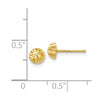 14k 5mm Polished Diamond-cut Half Ball Post Earrings