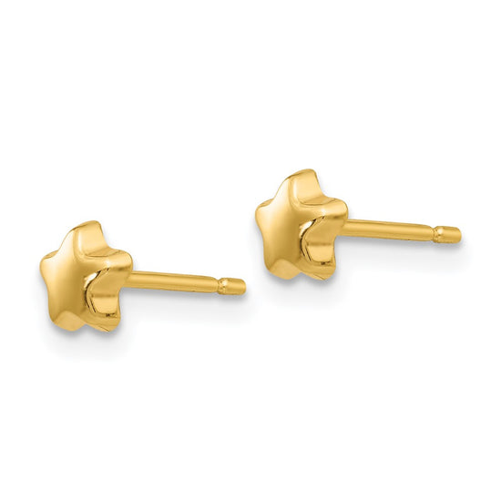 14k Polished Small Star Post Earrings