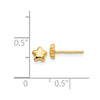 14k Polished Small Star Post Earrings