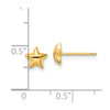 14k Polished Star Post Earrings
