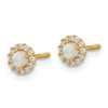 14K Polished CZ and Lab Created Opal Halo Screwback Post Earrings