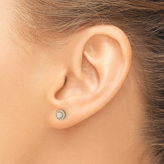 14K Polished CZ and Lab Created Opal Halo Screwback Post Earrings