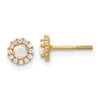 14K Polished CZ and Lab Created Opal Halo Screwback Post Earrings