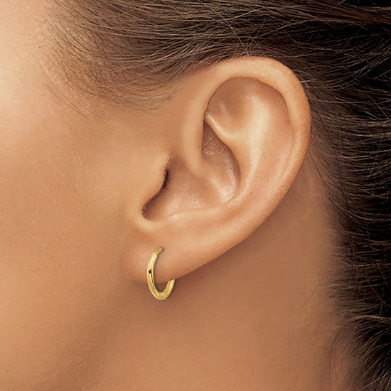Gold Hinged Hoop Earrings