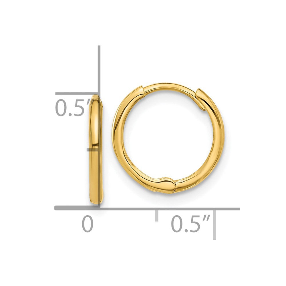 Gold Hinged Hoop Earrings