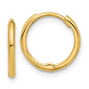 Gold Hinged Hoop Earrings