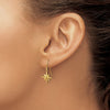 14K Star Dangle French Hook Earrings